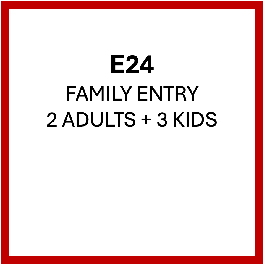 FAMILY ENTRY £40 - 2 Adults + 3 Kids | E24