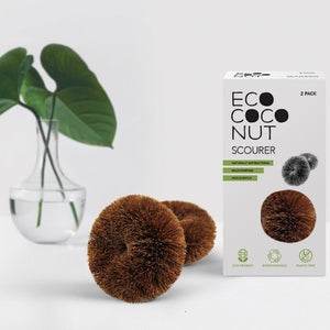 ECO SCOURER BRUSH